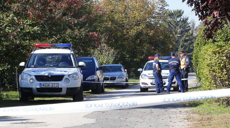 Még tegnap is sorban álltak a rendőrautók a gyilkosság helyszínén. Az utcában lakókat kérdezték ki a nyomozók /Fotó: Fuszek Gábor