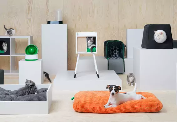 Ikea zatroszczy się również o domowe zwierzęta - powstała kolekcja gadżetów dla psów i kotów