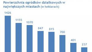 Powierzchnia ogródków działkowych w największych miastach