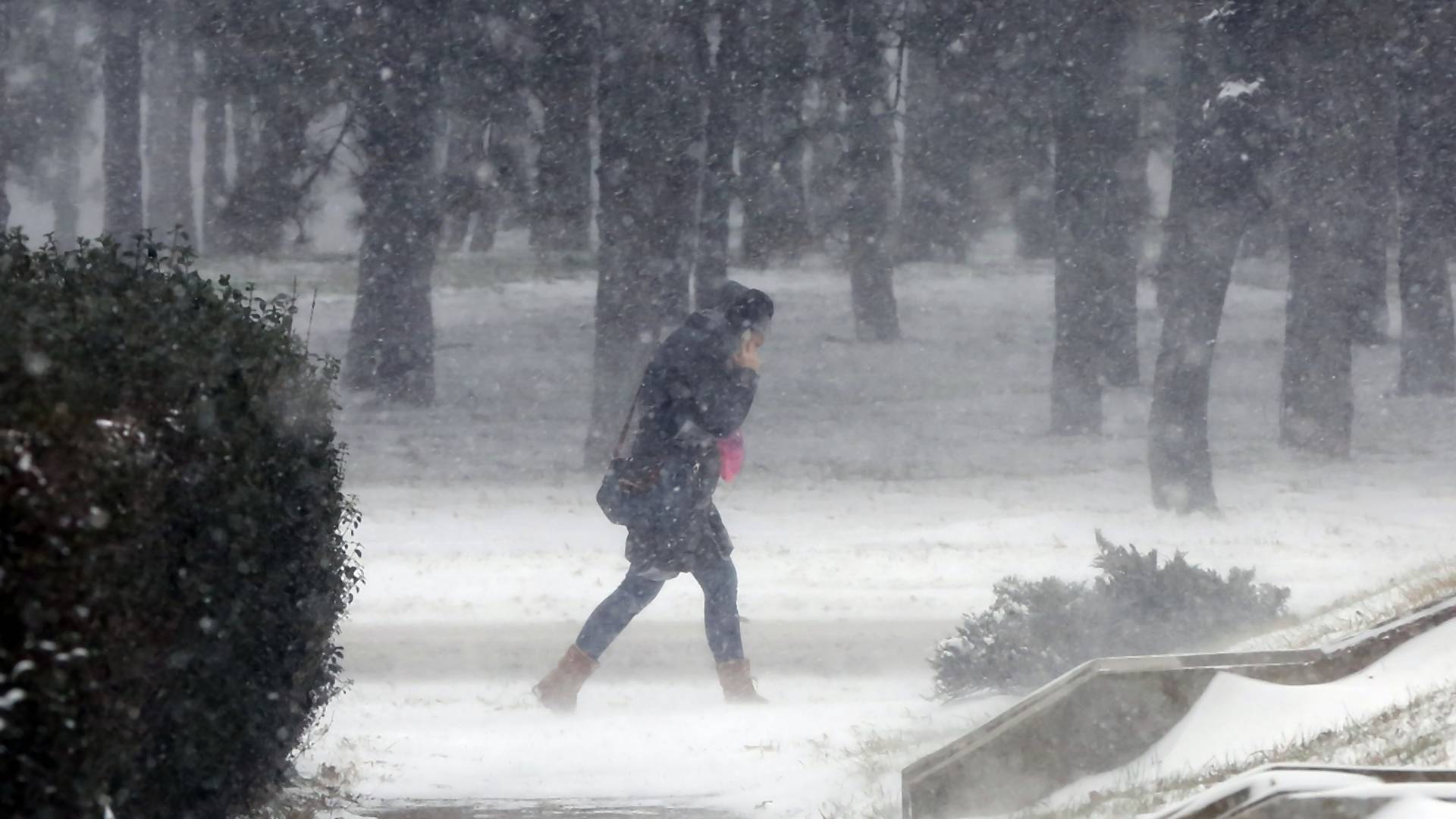 Ledeni talas u Srbiji - temperatura do minus 25