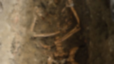 Naukowcy mają nadzieję, że znaleźli szczątki Mony Lisy