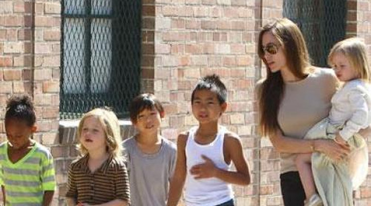 Még két gyereket szeretne Jolie és Pitt 
