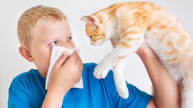 Eksperci: za 15 lat co drugi Europejczyk będzie dotknięty alergią
