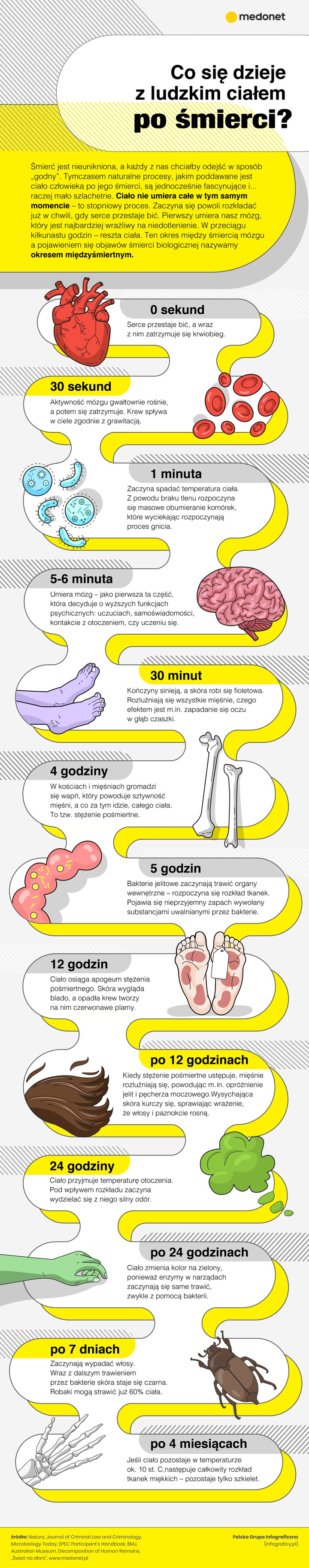 Co się dzieje z ciałem po śmierci? [INFOGRAFIKA]