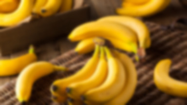 Czy banany wkrótce znikną? Naukowcy widzą nadzieję w nieznanej odmianie