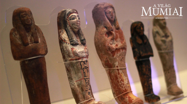 Az ókori egyiptomi leletek
közül sok áldozatul esett, 
amikor „gyógyszereket” 
készítettek azokból