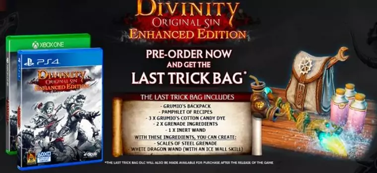 Na co możemy liczyć, jeśli złożymy zamówienie przedpremierowe na Divinity: Original Sin Enhanced Edition?