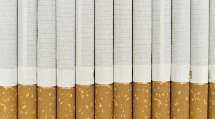 125 ezer doboz cigarettát foglalt le a NAV 122 millió forint értékben / Illusztráció: Northfoto