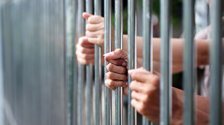 15 év börtönt kapott a nő, aki szex közben szablyát állított a férjébe / Illusztráció: Shutterstock