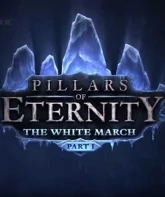 Okładka: Pillars of Eternity