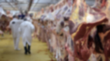 Onet24: zepsuta wołowina z Polski w 10 krajach UE