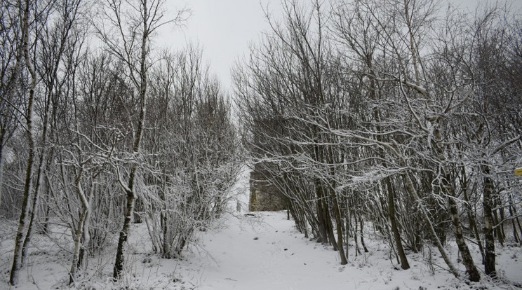5-10 centis hó esett reggelre Írott-kőn / Fotó: Időkép