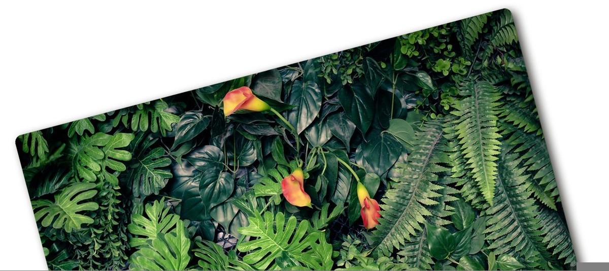 Deski do krojenia - Deska do krojenia szklana Egzotyczna dżungla - grafika 1