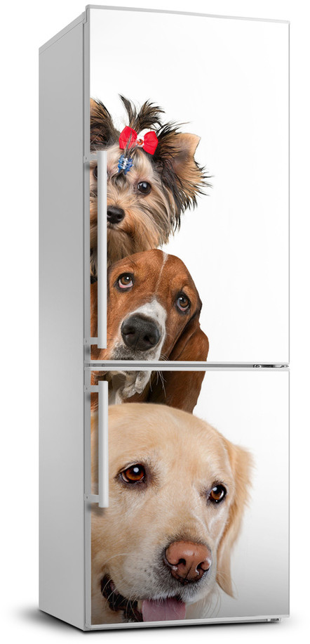Naklejki na drzwi i meble - Foto Naklejka na lodówkę ścianę Psy i koty - grafika 1