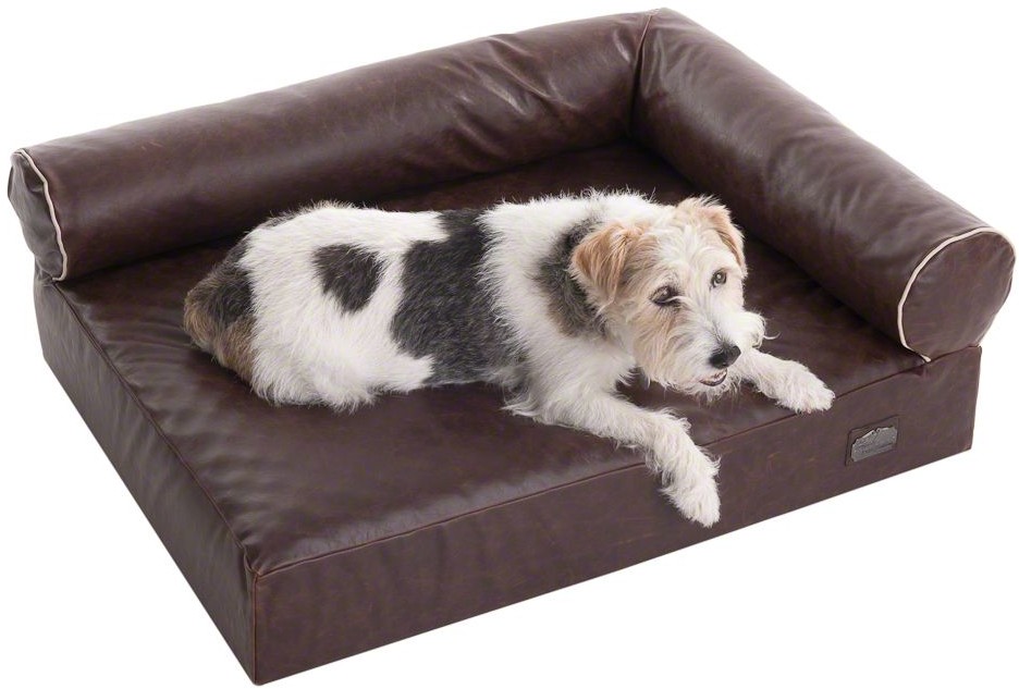 Legowiska dla psów - Zooplus Exclusive Ortopedyczna sofa dla psa Wellness Divan - Dł. x szer. x wys.: 85 x 65 x 30 cm - grafika 1