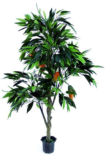 Sztuczne drzewka - Europalms Euro Palms 82506720 drzewa Mango z owoców, 165 cm 82506720 - grafika 1