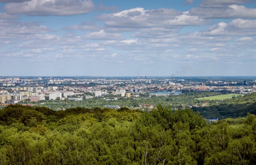 Fot. Shutterstock / mikolajn