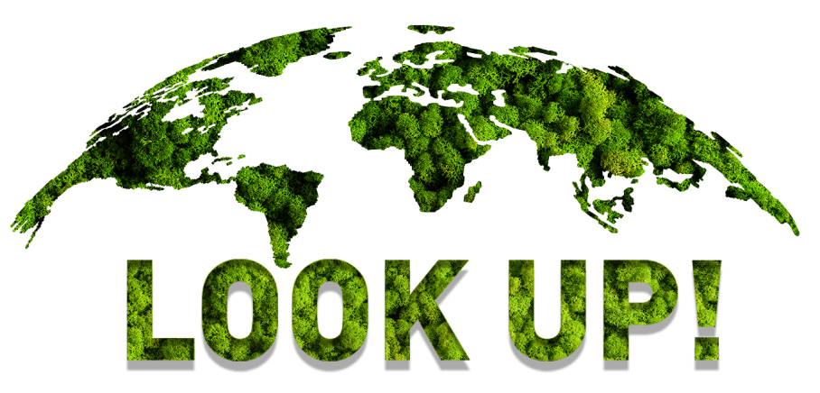 Look up
