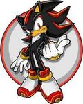 shadow the hedhog