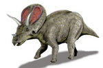 triceratops