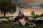 VAMPIRE DIARIES CROW