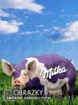 milka