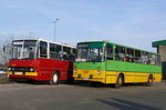 Ikarus 260 i Ikarus 280