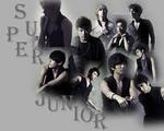 Super Junior (ich 'sorry, sorry' śpiewają 'szory, szory; LoL)