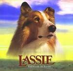 Lassie (z książki "Lassie wróć!")