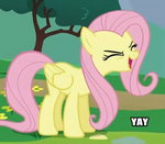 Fluttershy