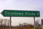 Dziadowa kłoda