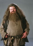 Hagrid