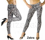 zebra;pp