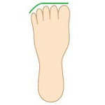 stopa rzymska (3 pierwsze palce są tej samej długości)