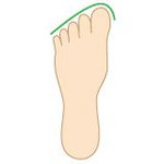 stopa egipska (duży palec, ten pierwszy, jest najdłuższy)
