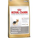 Royal Canin Yorkshire Terrier 29 