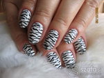 Zebra ^^