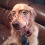 BennyK