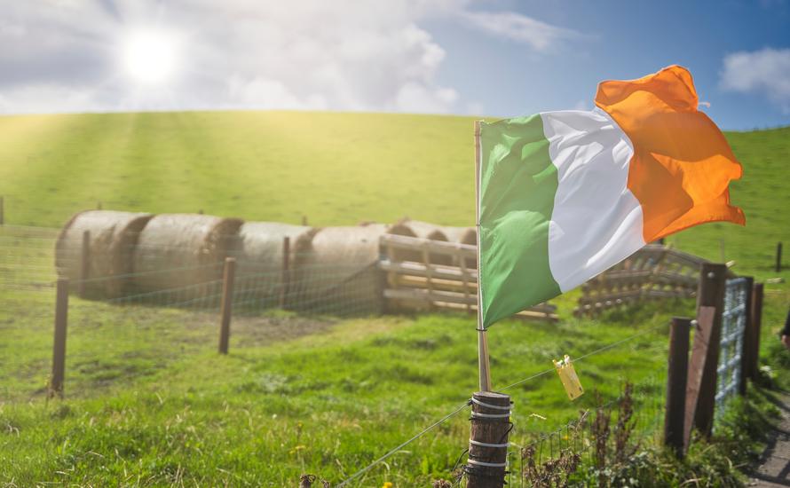 Maidin mhaith, czyli dzień dobry po irlandzku