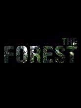 Gra: The Forest