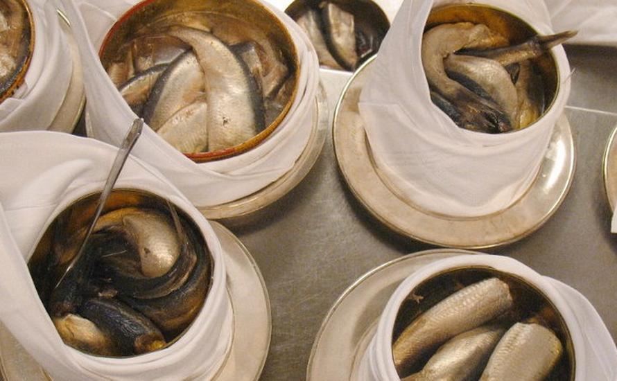 Surströmming czyli cuchnący, sfermentowany śledź - przysmak Szwedów