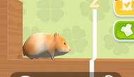 Game: Hamster Maze Online