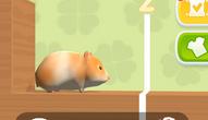 Spiel: Hamster Maze Online