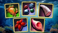 Spiel: Seafaring Memory Challenge