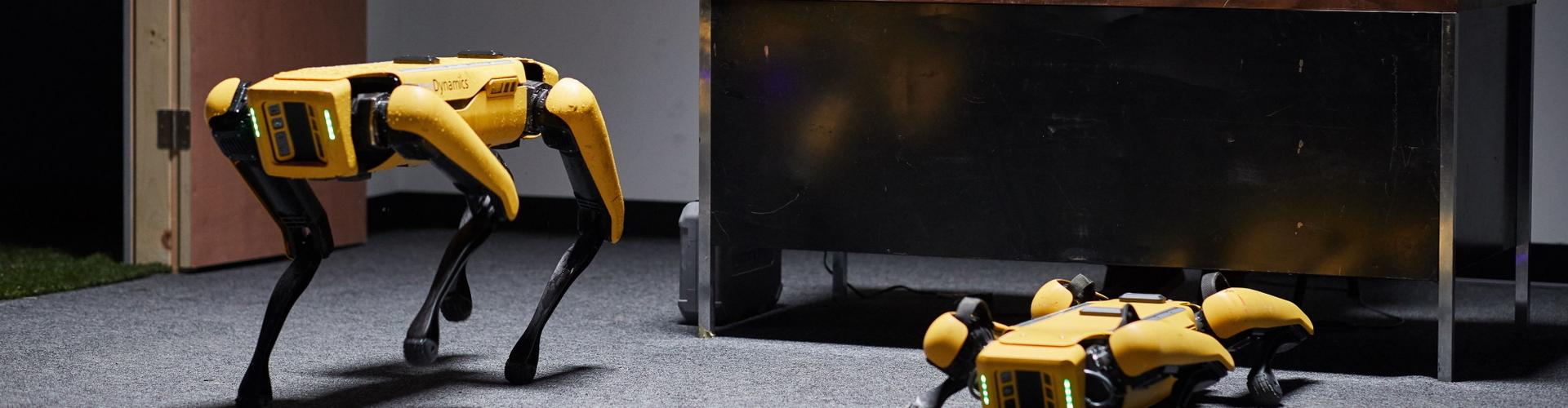 Spot, czworonożny robo-pies firmy Boston Dynamics przyjechał do Polski