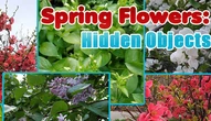 Game: Spring Flowers Hidden Objects