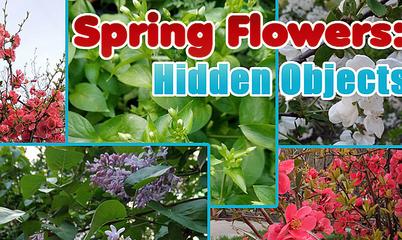 Juego: Spring Flowers Hidden Objects