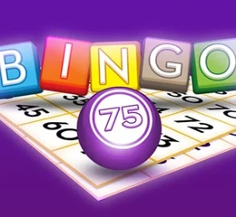Bingo rules