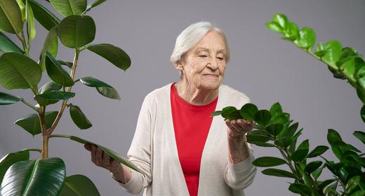 Grey is green, czyli co łączy i dzieli seniorów oraz „zetki” w podejściu do ekologii