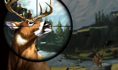 Gra: Deer Hunter